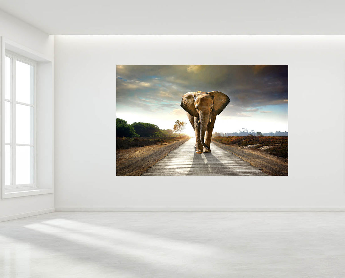 Canvas Art for White Walls: Making Prints Pop